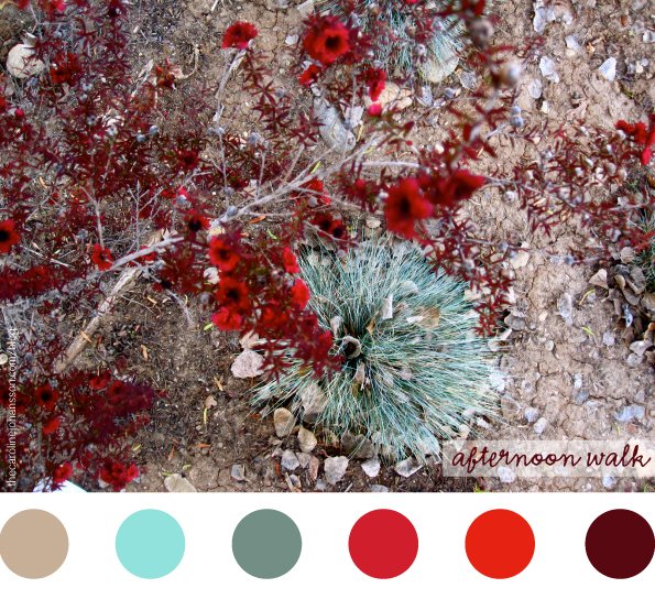 color_palettes_afternoon_walk_red_mint_green
