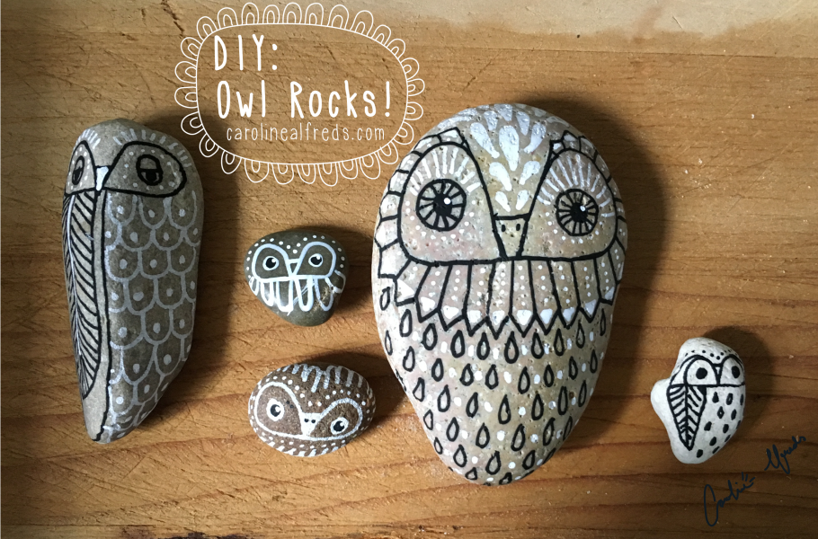 diy-hand-painted-owl-rocks