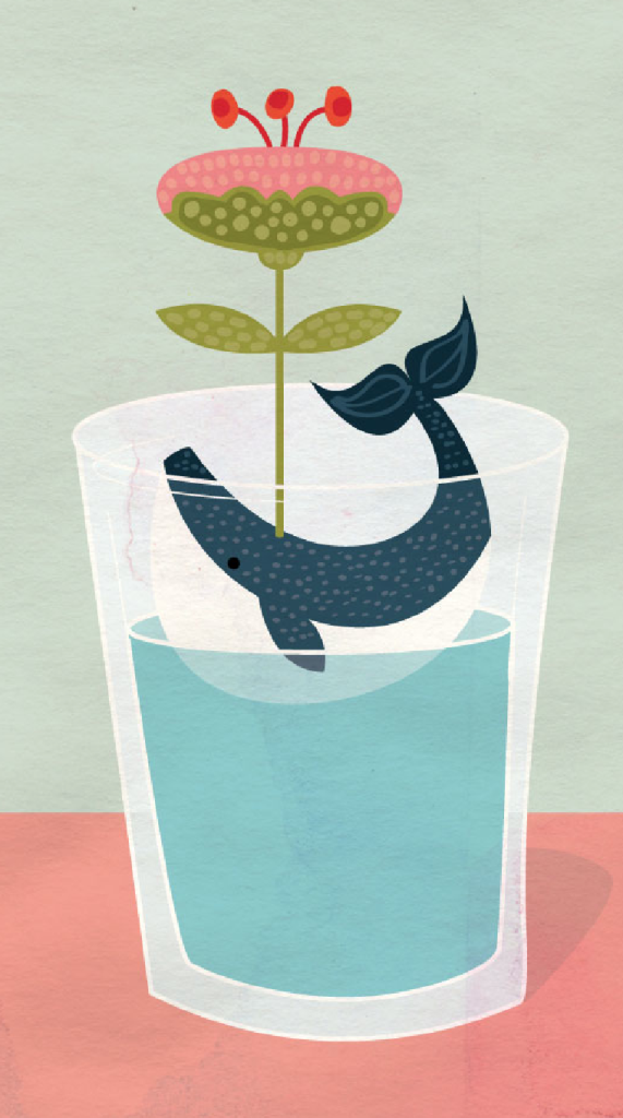 whale-illustration-closeup