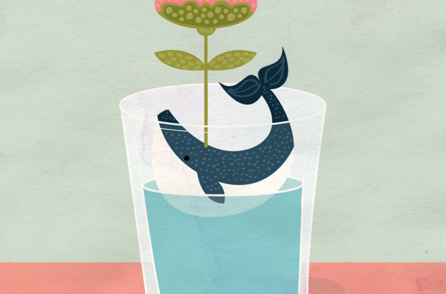 whale-in-glass-with-flower-illustration-carolinealfreds